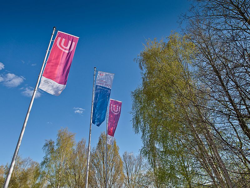 Drei Uni-Bremen-Flaggen vor blauem Himmel.